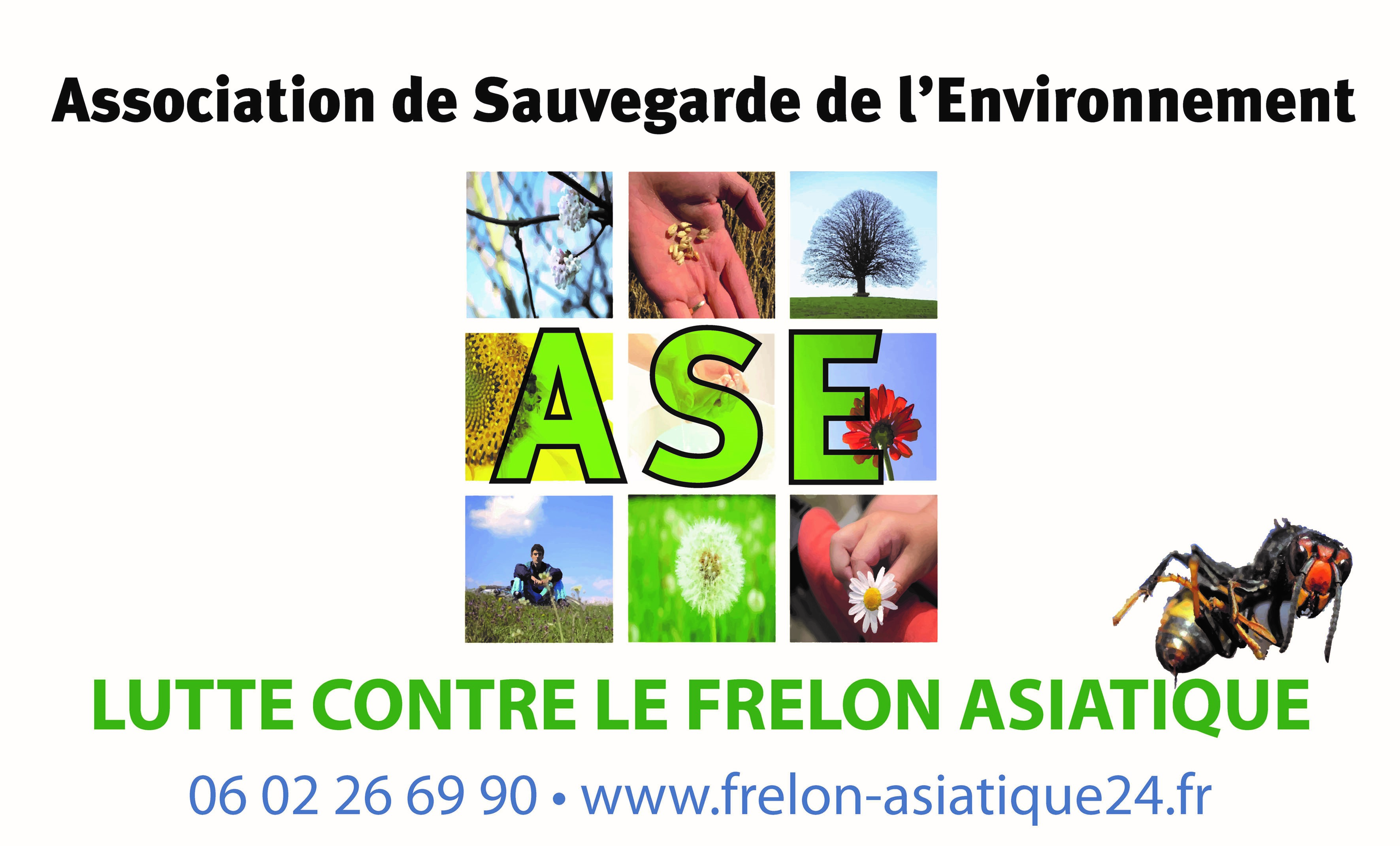 image représentant le logo de ASE