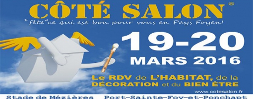 image représentant l'affiche de côté salon